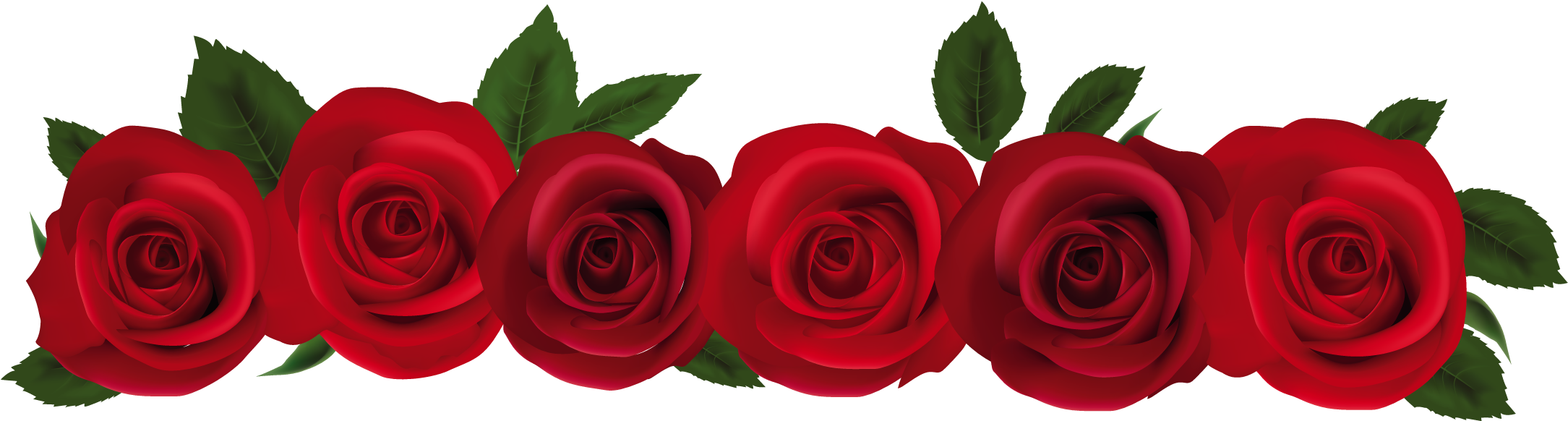 Rose Clip Art Border 9tpbdbj8c - Red Rose In Png (2219x649)