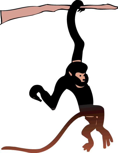 Salmon Clipart Endangered - Monkeys Hang Clipart (471x607)