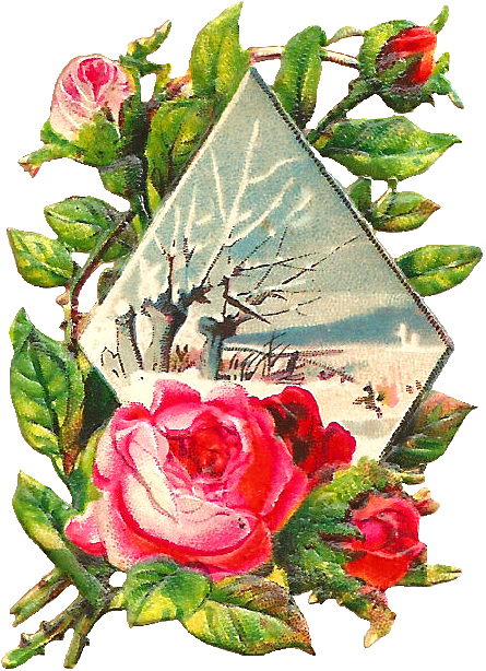 Pink Rose Clip Art - Clip Art (710x810)
