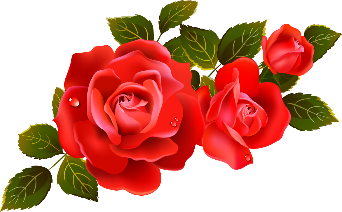 Clipart Marvellous Design Red Rose Clipart Large Roses - Transparent Background Roses Png (1172x725)
