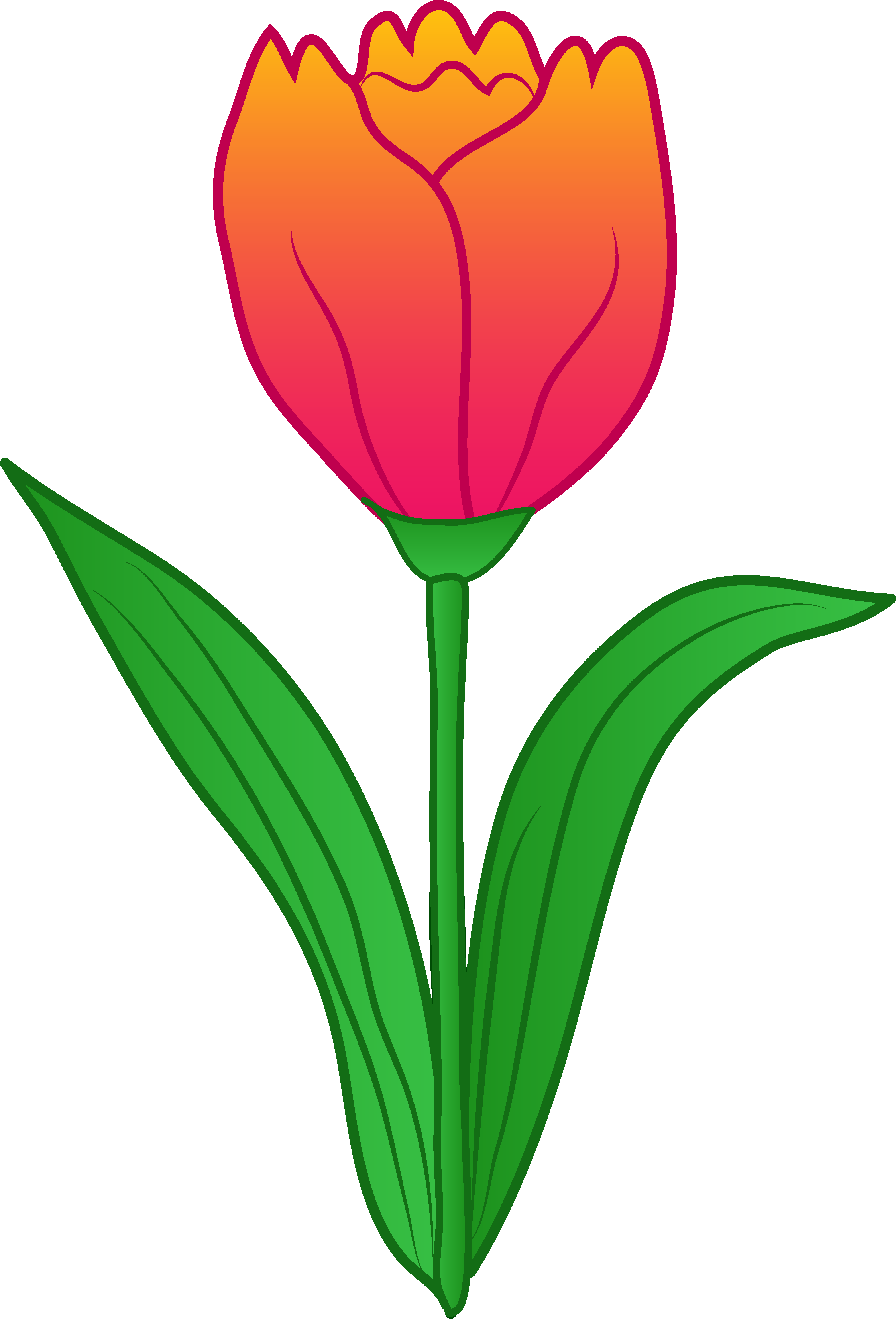 Rose Clipart Tulip - Tulip Flower Clipart (4024x5921)