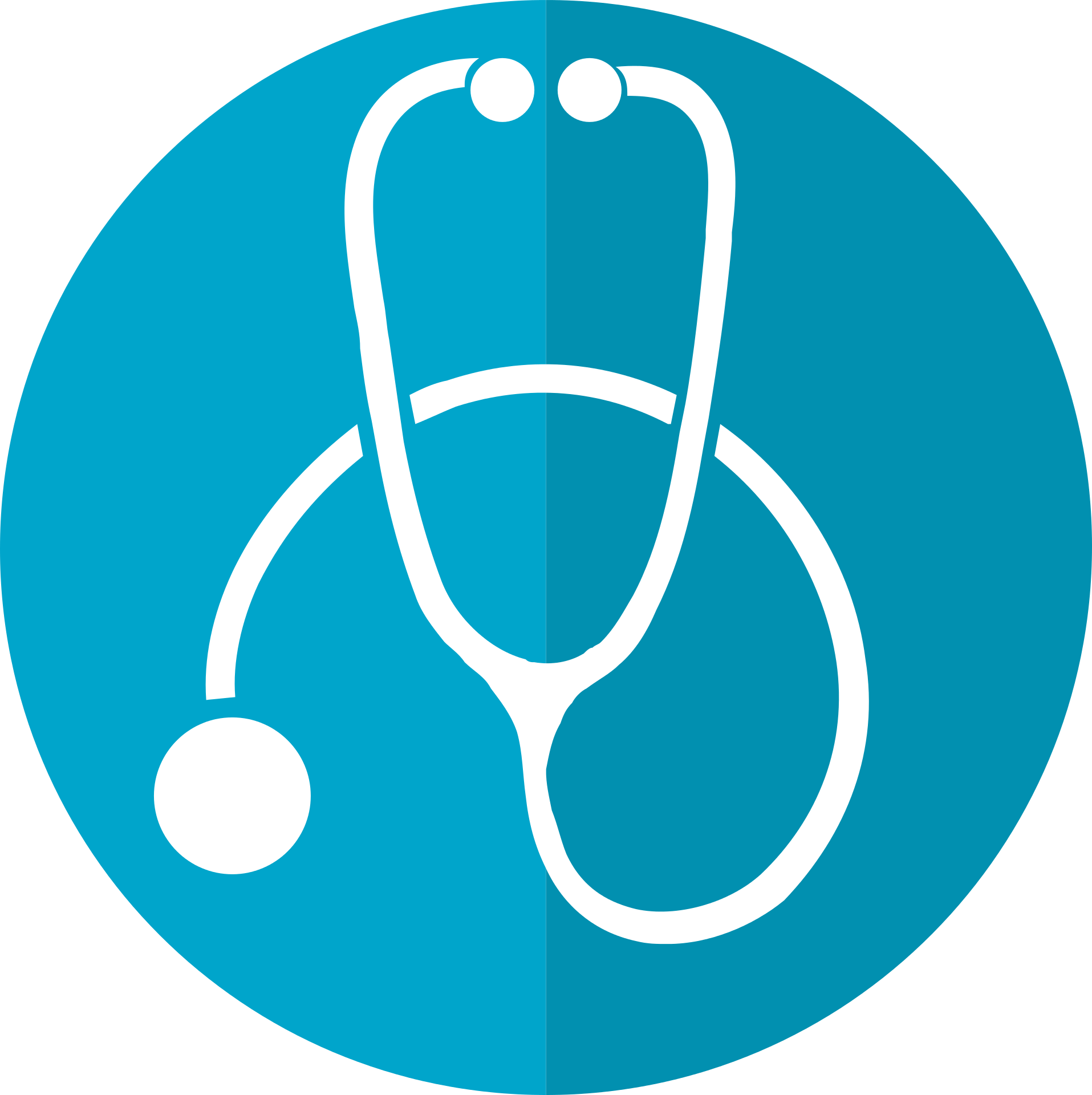 Stethoscope Icon, Stethoscope, Icon - Doctor Png (1277x1280)