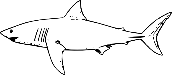 Shark Clipart Black And White (600x262)
