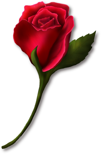 Single Rose Clip Art - Single Red Rose Clip Art (328x501)