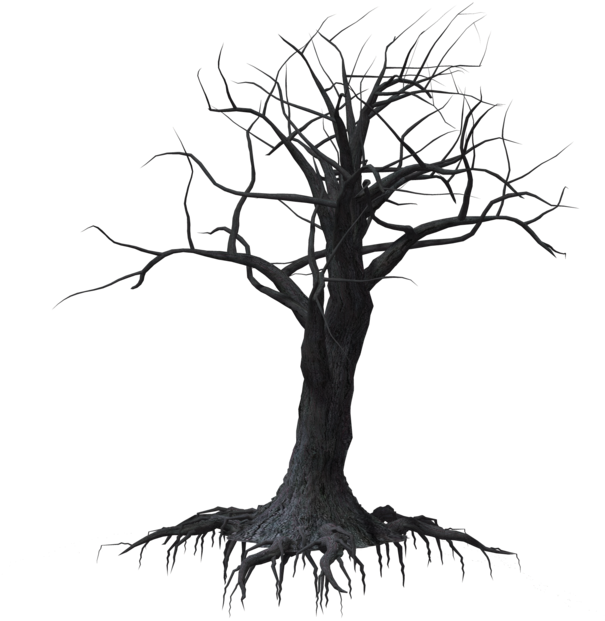 Creepy Tree 03 By Wolverine041269 On Clipart Library - Drawing (1024x639)