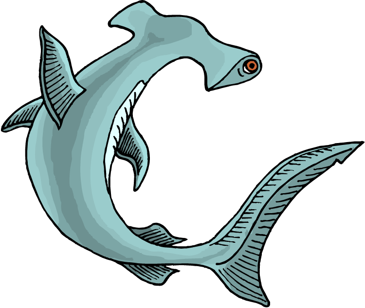 Shark Clipart - Hammerhead Shark Clipart (750x633)