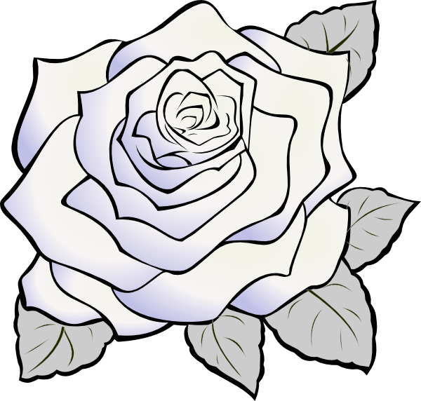 Rose Clip Art - White Rose Clip Art (600x572)