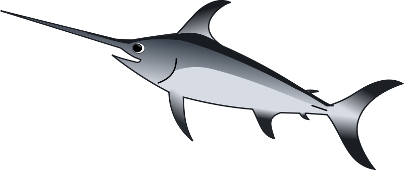 Clipart Info - Xiphias Clipart (800x337)