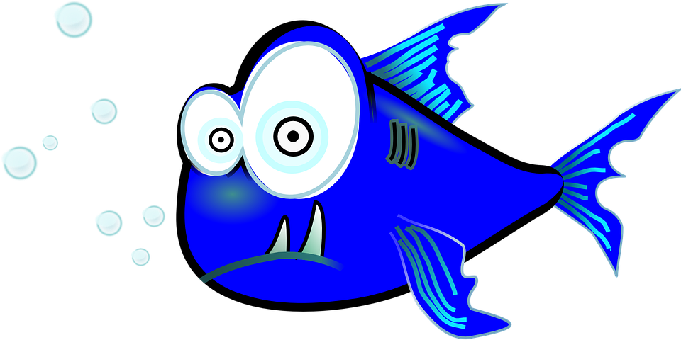 Piranha, Fish, Funny, Weird, Blue - Piranha Clip Art (960x480)