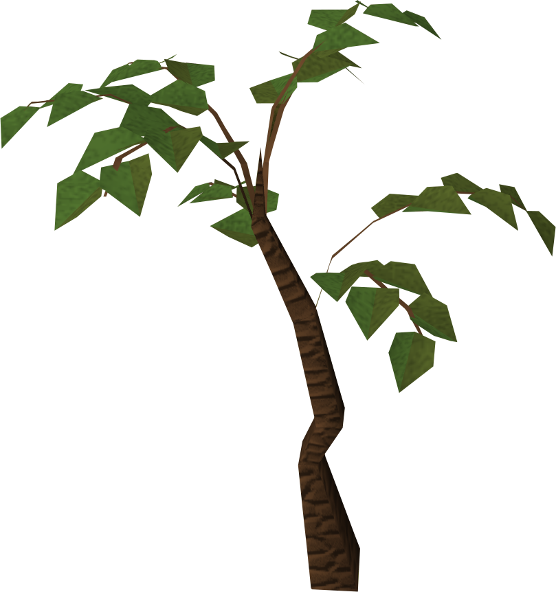 Simple Jungle Tree Clipart Cliparts - Jungle Trees Png (809x862)