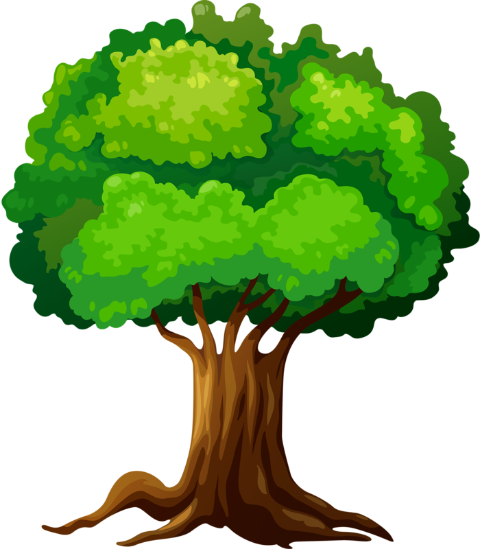 Trees ‿✿⁀°••○ - Arbol Dibujo Png (700x800)