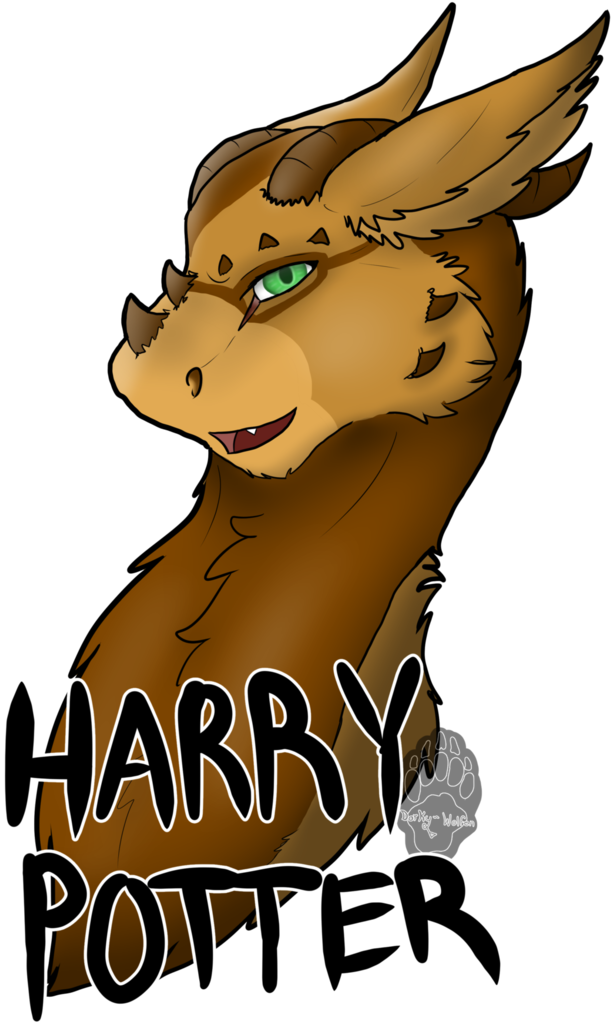 Harry Potter The Dutch Angel Dragon By Dorky-wolfen - Illustration (752x1062)