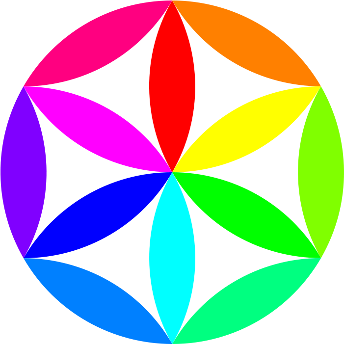 Flower Floral Design Free Content Clip Art - Clip Art (800x800)