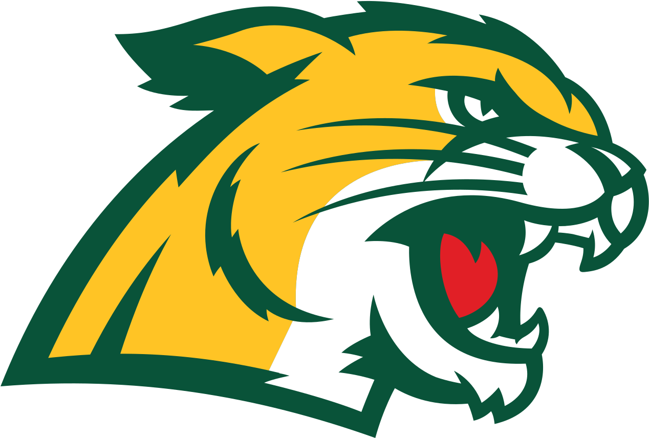 Wildcat Clipart Northern Michigan - Northern Michigan Wildcats Logo (1280x870)