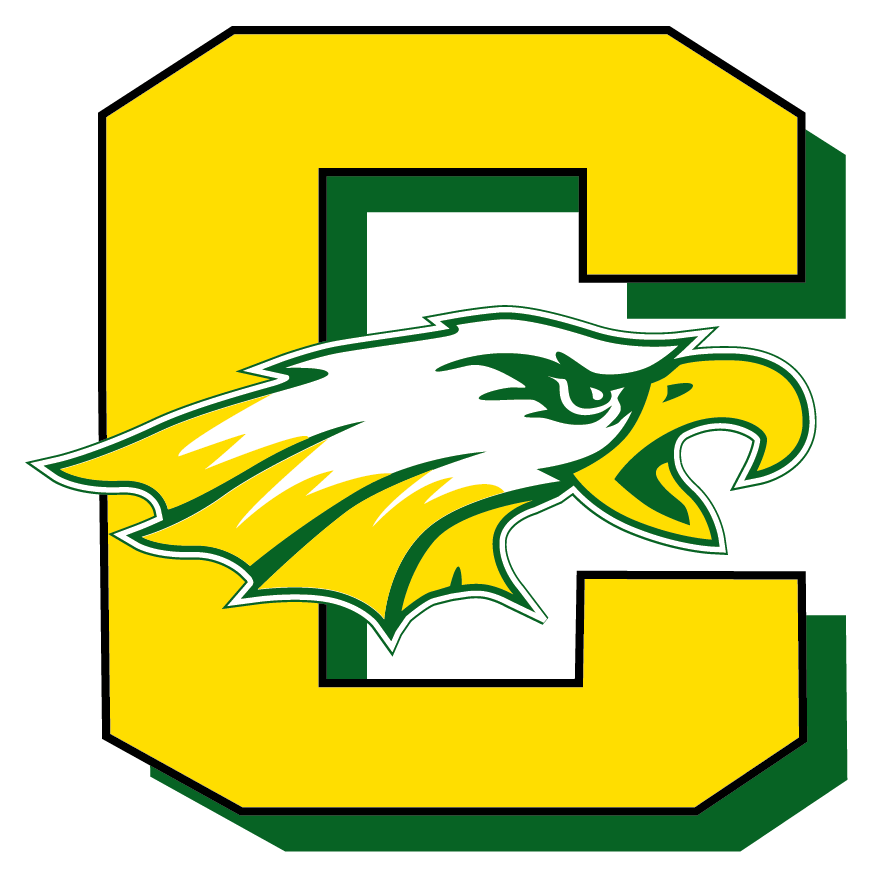 Hockey Summer Skates - Clay High School Oregon Ohio (991x973)