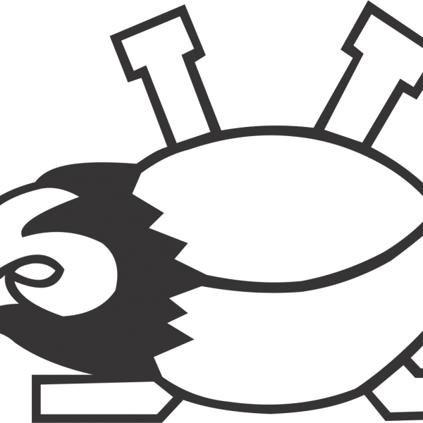 Flame Hockey Sticks & Puck - Imagens De Smilinguido (600x600)