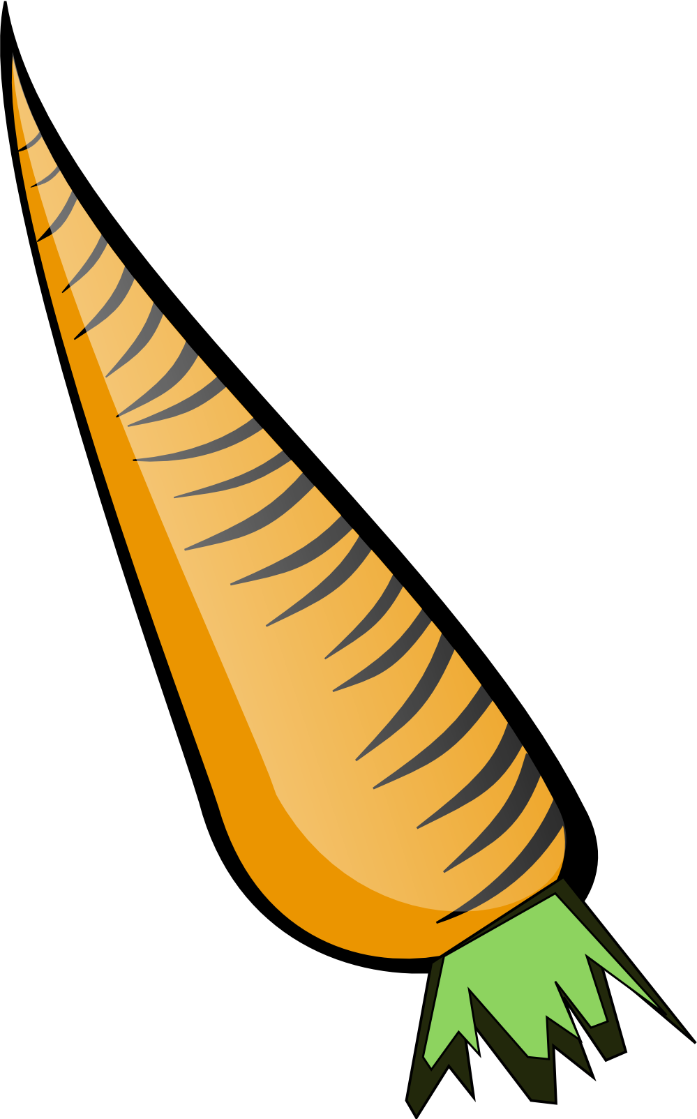 Carrots Clip Art Clipart - Carrot Clip Art (999x1604)