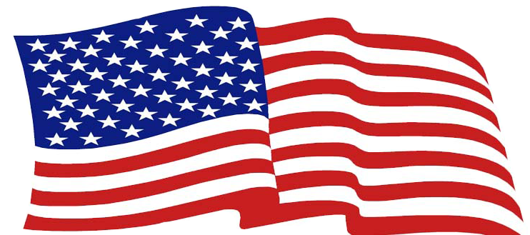 Argonne Club Seeks Veteran Volunteers For 2017 Collection - Patriotic Designs Patriotic Designs Oval Ornament (779x328)