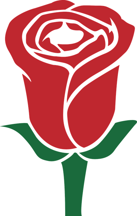 Rose Red Green Mother's Day Valentine Flower - Rosa Dia Das Maes Png (456x720)
