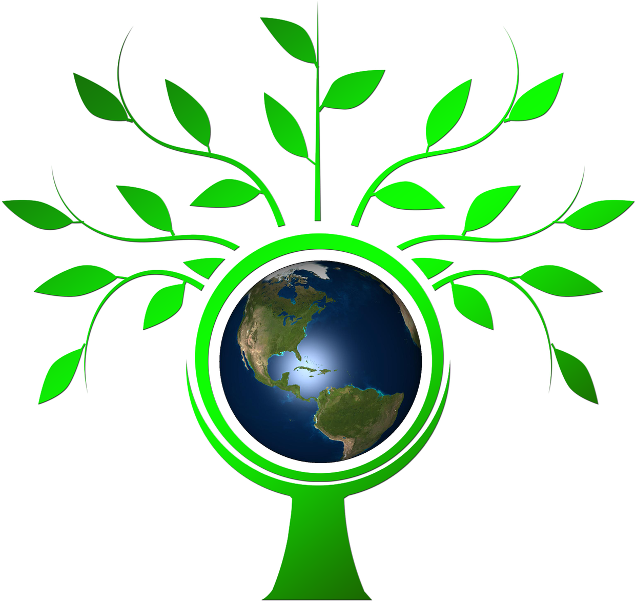 Honoring Earth Day - Family Tree Vector Png (1280x1280)