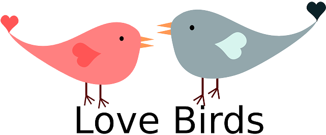 Heart, Love, Birds, Bird, Hearts, Valentine, February - Feliz Dia De San Valentin Vector (640x320)