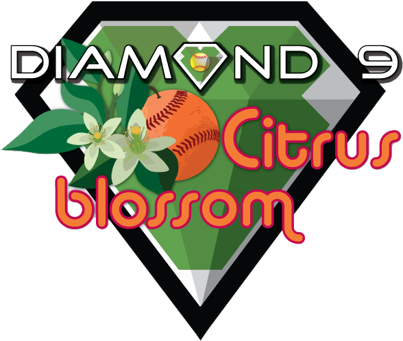 Prototype - 953menumain - Diielementsjspart - Diiimagemodule - Softball (626x592)