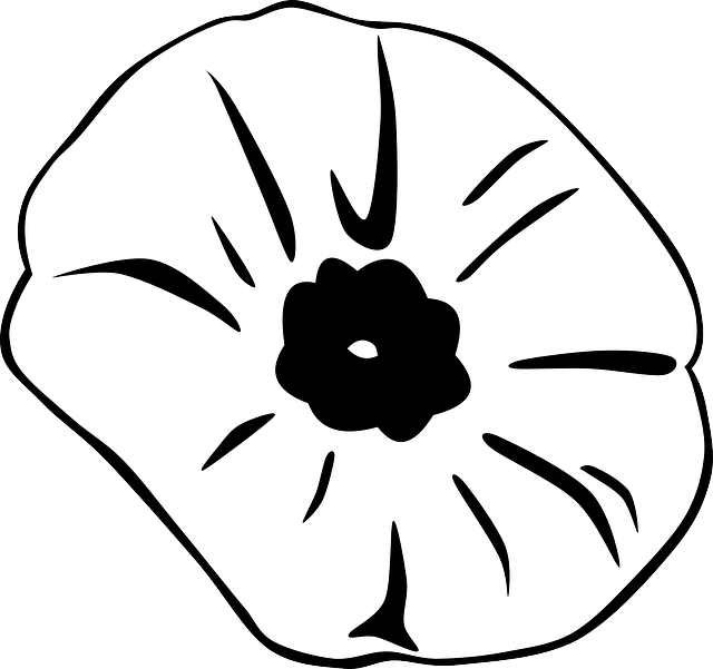 Remembrance Day Poppy Clipart - Remembrance Day Poppy Clipart (799x750)
