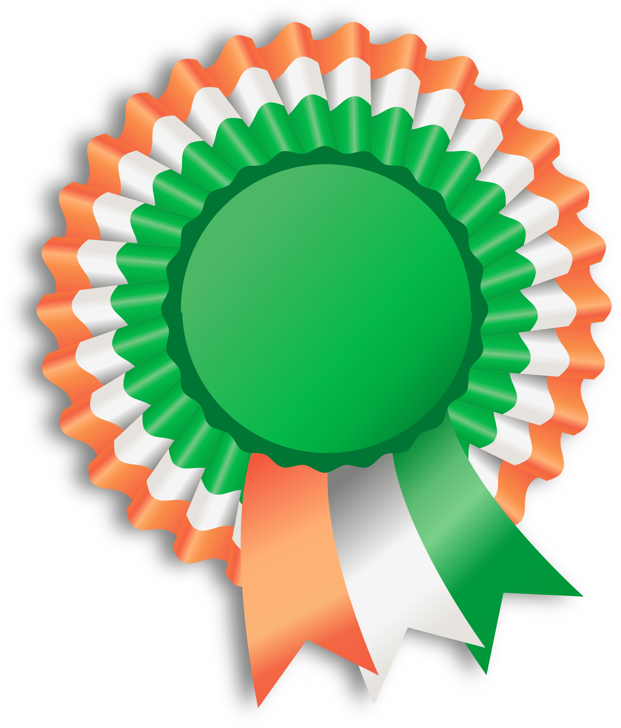 Big Image - Irish Ribbon Shower Curtain (2034x2400)