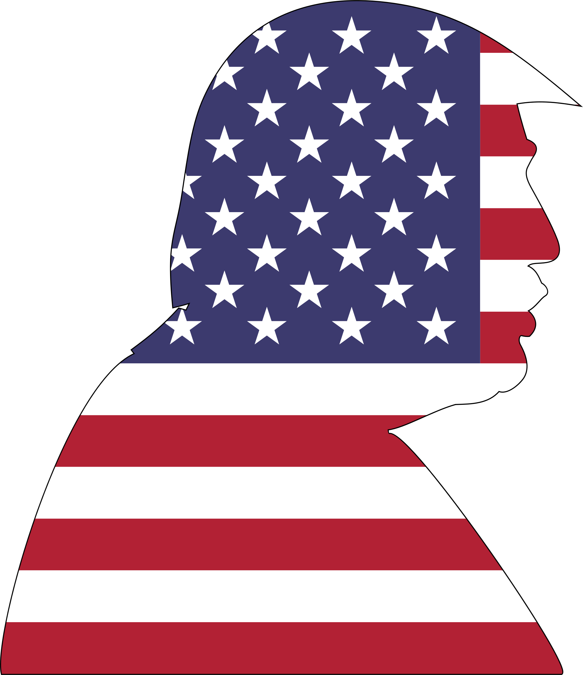 Medium Image - Trump Flag Transparent (2009x2326)