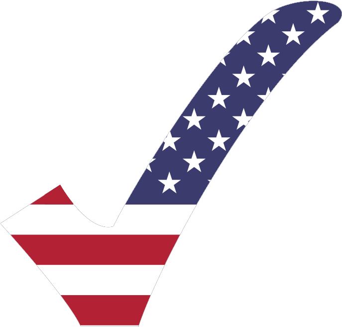 Usa Check - Usa With Check Mark (700x700)