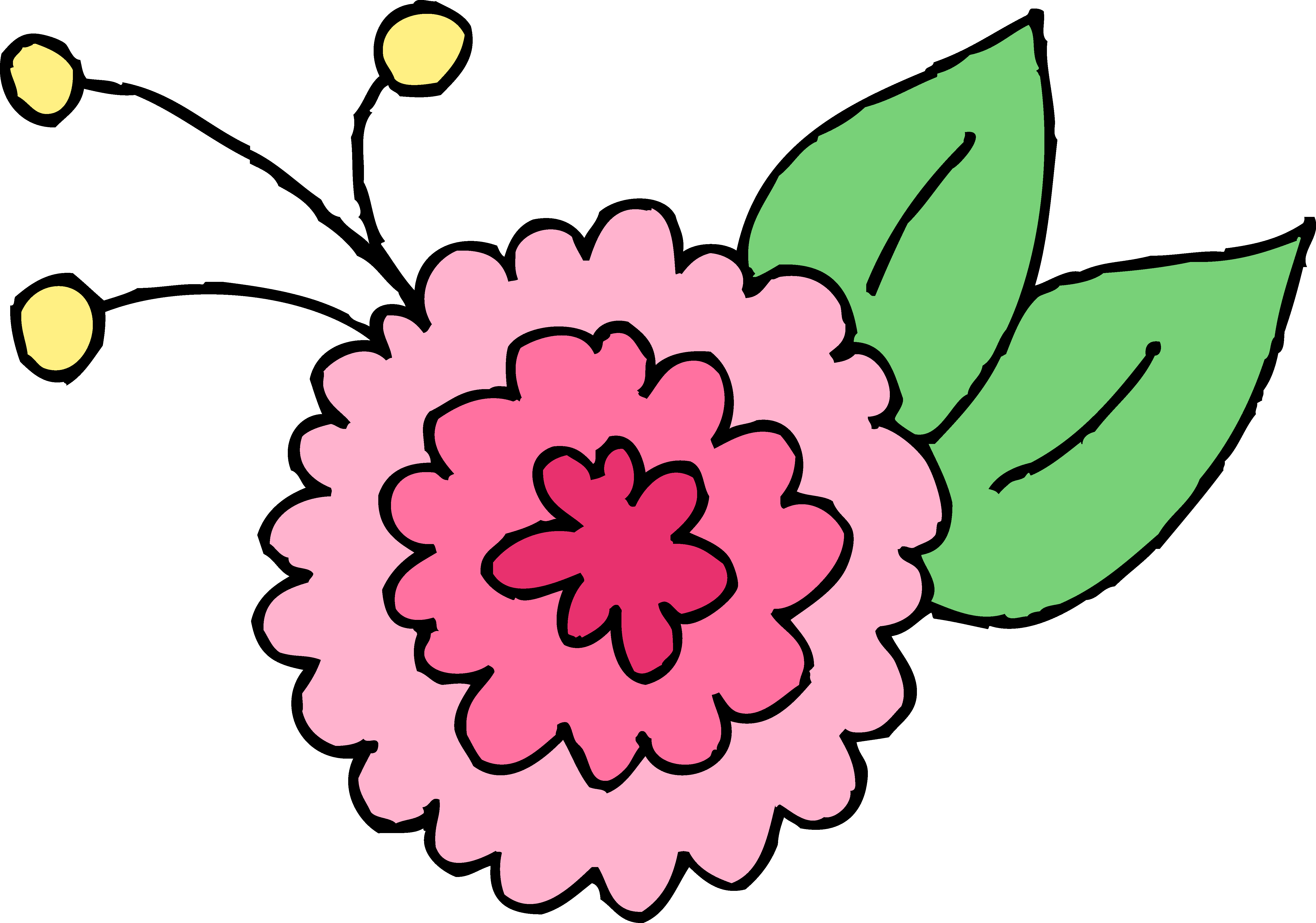 Chrysanthemum Clip Art - Chrysanthemum Clip Art (5688x3992)