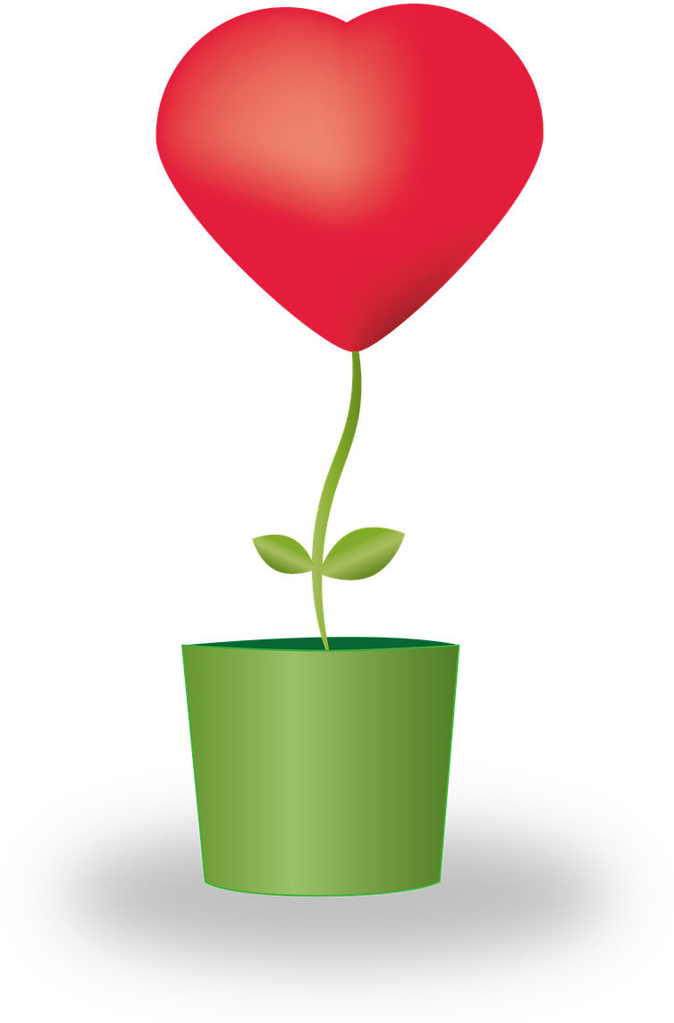 Heart Flower Potted Plants Love Mother's Day - Vaso De Flor Com Coração (873x1280)