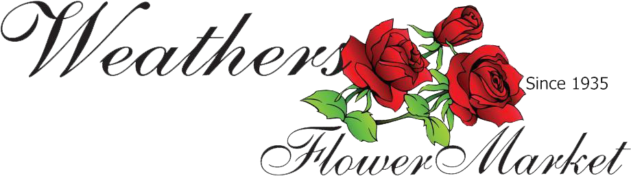 Weathers Flower Market - Stealing Home: The Truth About My Mother's Death [book] (928x264)