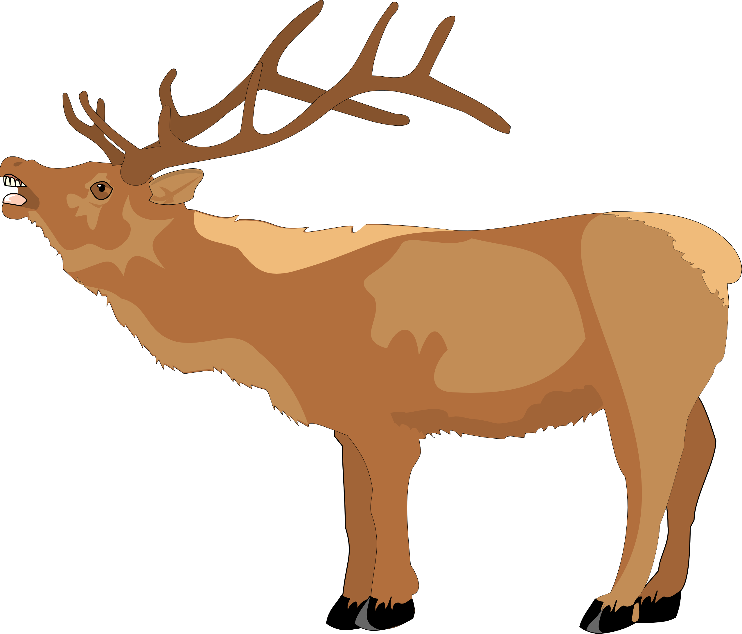 Raindeer Clipart - Clipart Library - Reindeer Clip Art (2555x2184)