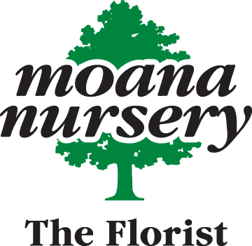 The Florist At Moana Nursery - Moana Nursery (360x351)
