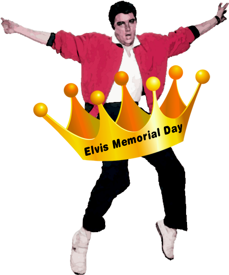 Elvis - Fun (529x591)
