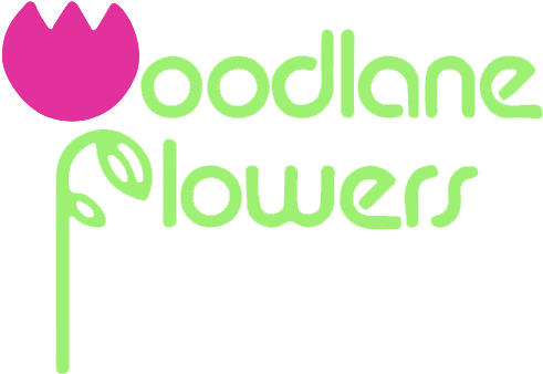 Woodbury, Mn Florist - Woodlane Flowers (500x360)