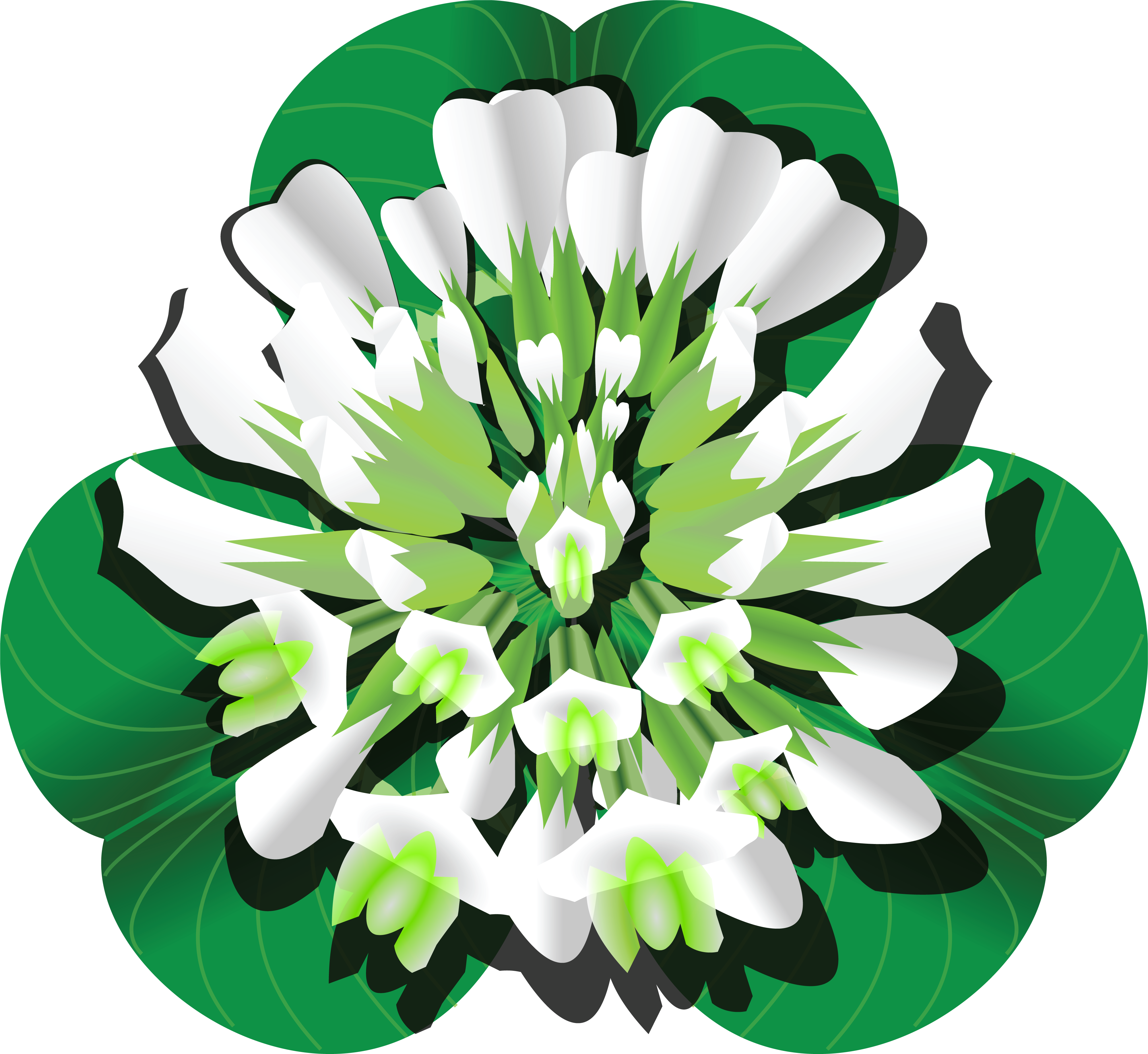 Free Clipart Of A Clover Blossom And Leaves - Clover Flower Clipart (4000x3674)