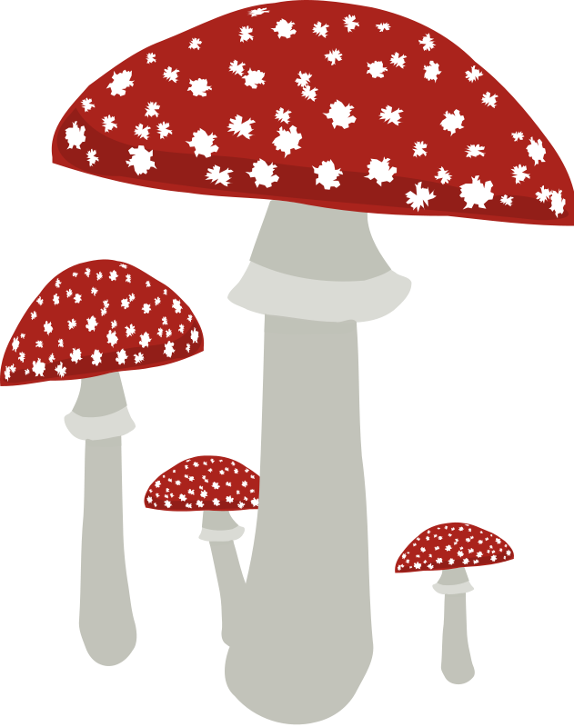 Free Group Of Mushrooms Clip Art - Fungi On No Background (631x800)