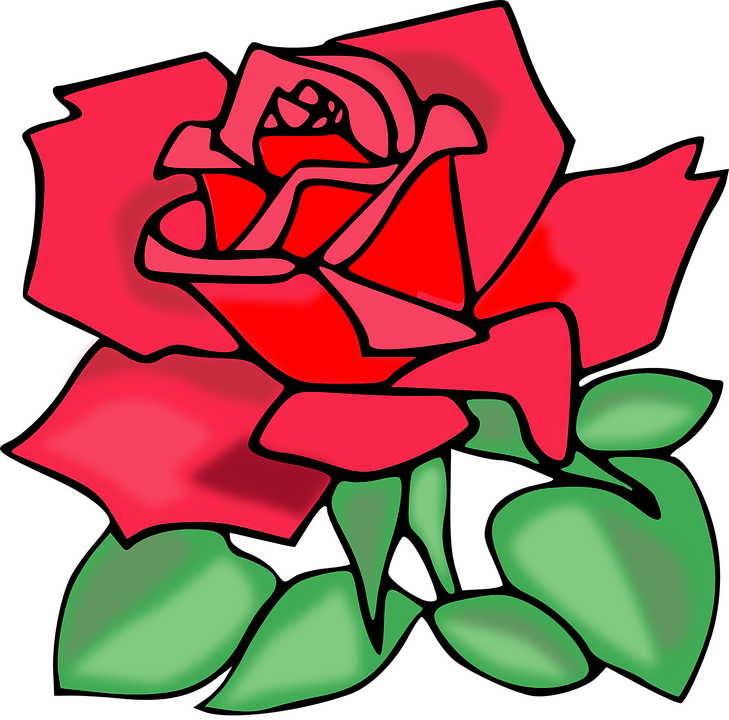 Rose Flower Red Valentine Love Blossom Leaves - Rose Transparent Clip Art (729x720)