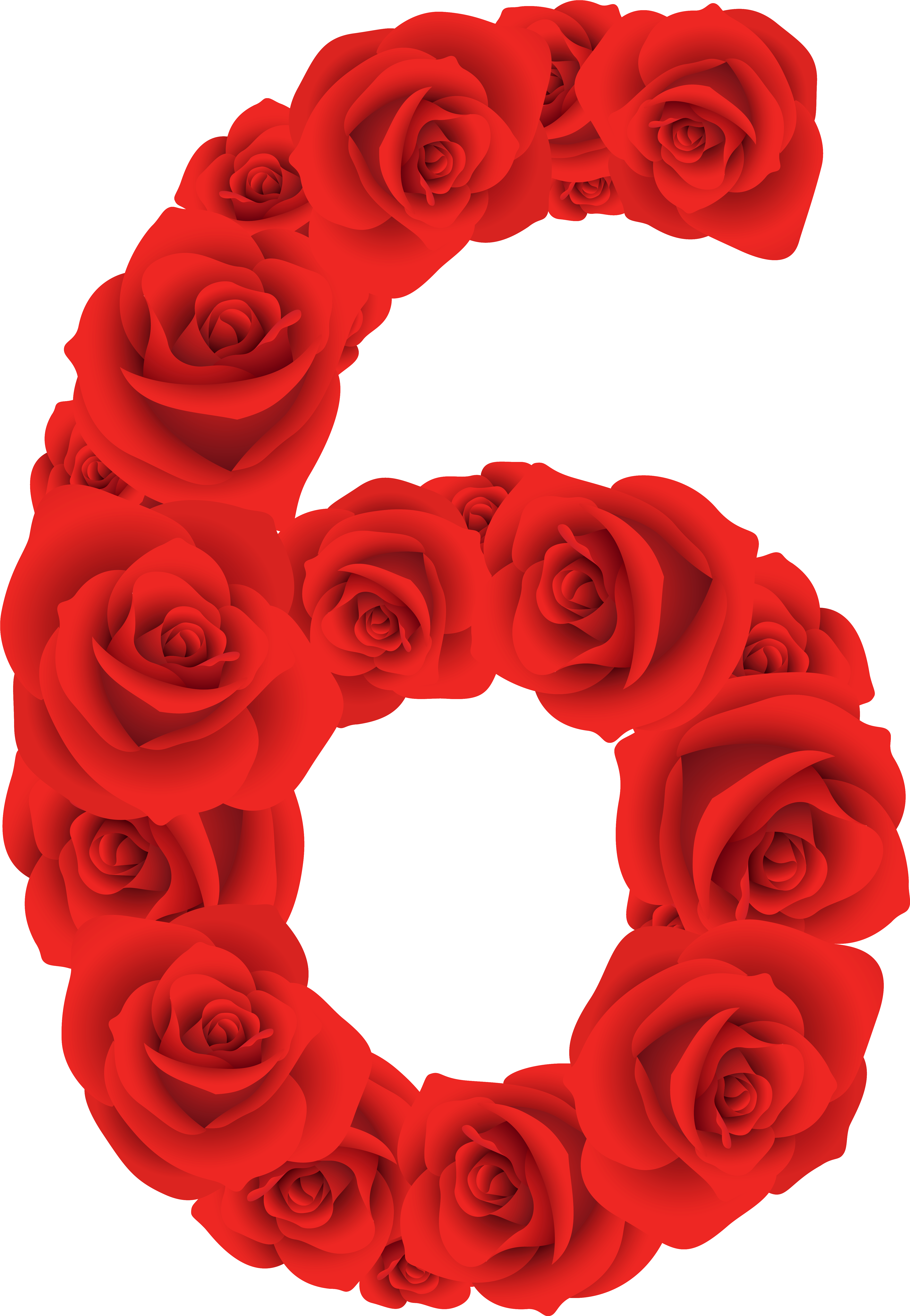 Discover Ideas About Number Six - Red Roses Number (4816x6923)