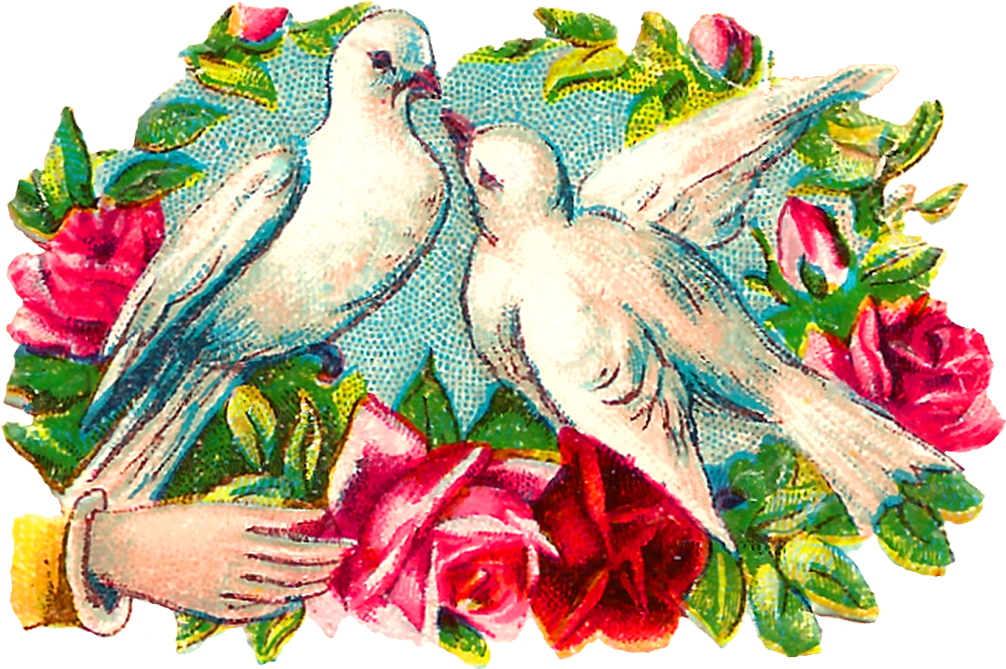 The Colorful Romantic Clipart Images Of Pairs Of Doves - Garden Roses (1600x1080)