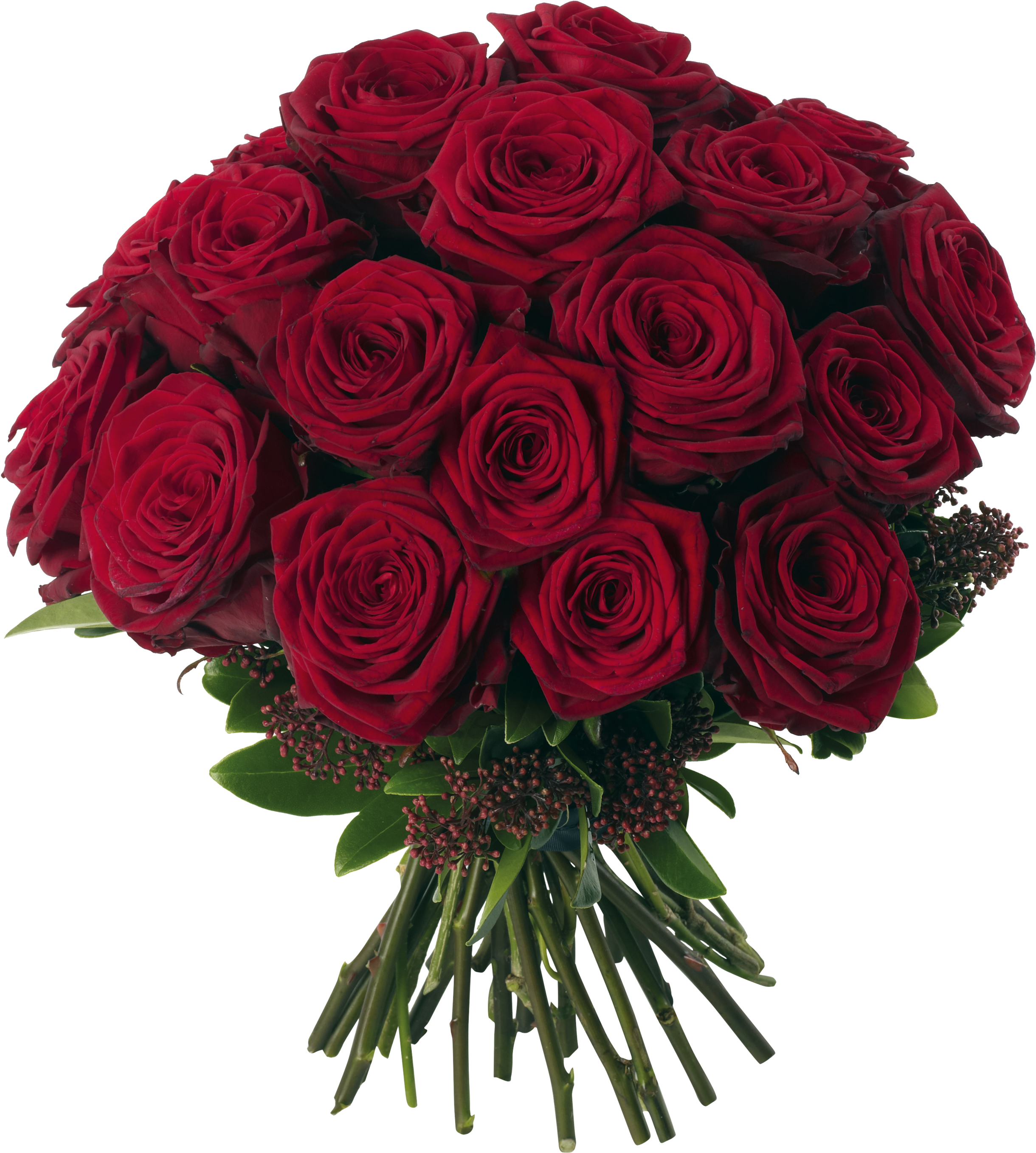 Transparent Red Roses Bouquet Png Clipart Picture - Bouquet Of 15 Red Roses (2661x3000)