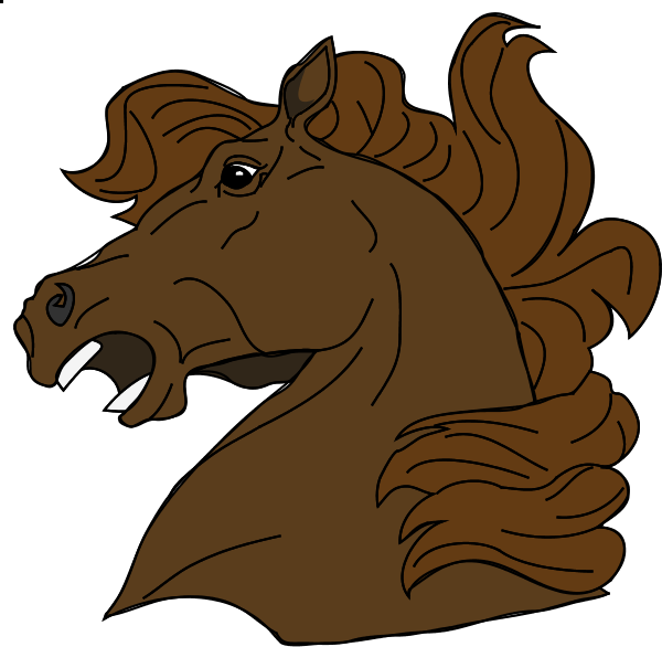 Horse - Stallion Head Shower Curtain (600x586)