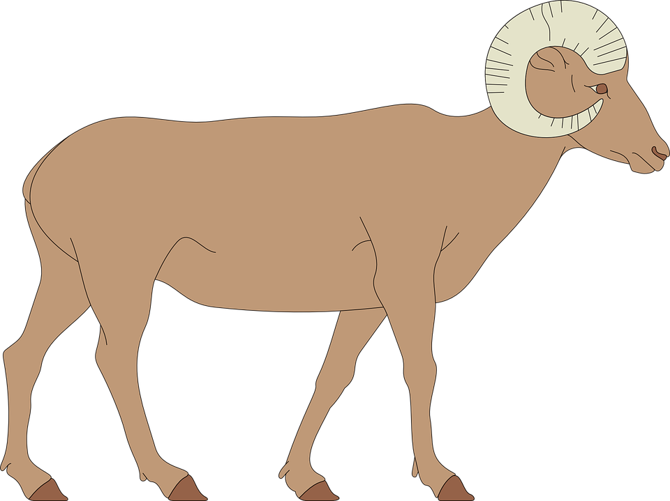 Walking Horse Cliparts 19, Buy Clip Art - Draw A Bighorn Sheep (960x719)