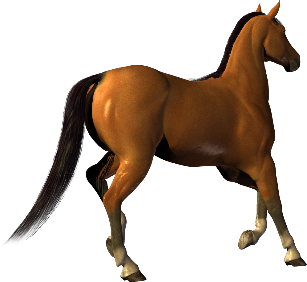 Horse Clipart Transparent - Download An Image Without Background (997x915)