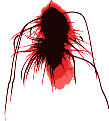 Preview - - Scalable Vector Graphics (434x480)