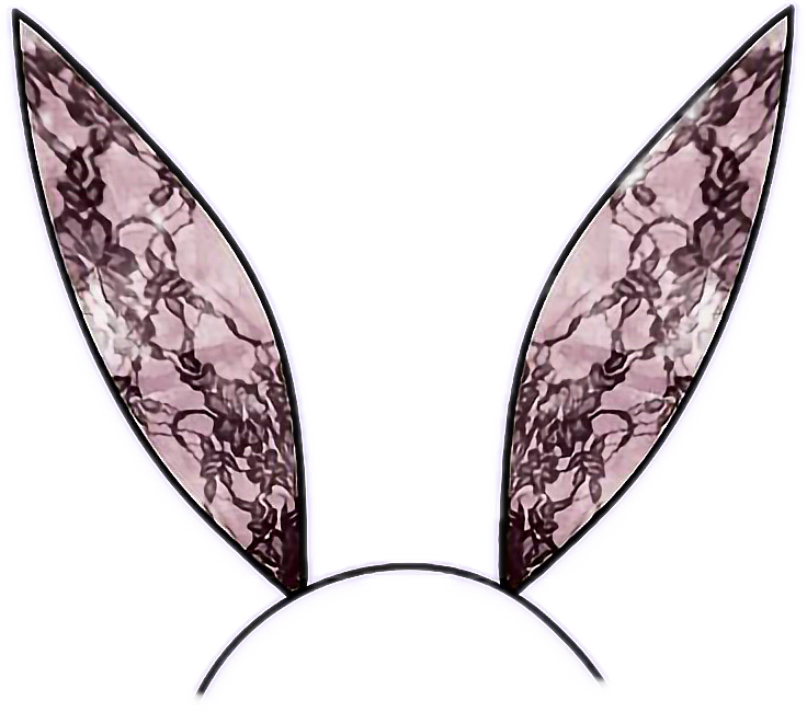 Bunny Bunnyears Black Pink Lace Blacklace Headband - Illustration (736x650)
