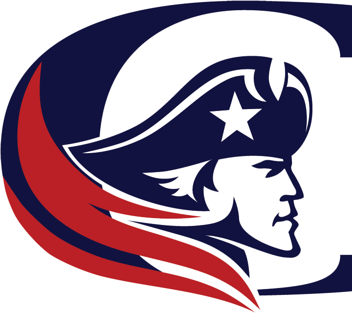 Go Patriots - Free Patriot Vector (800x800)