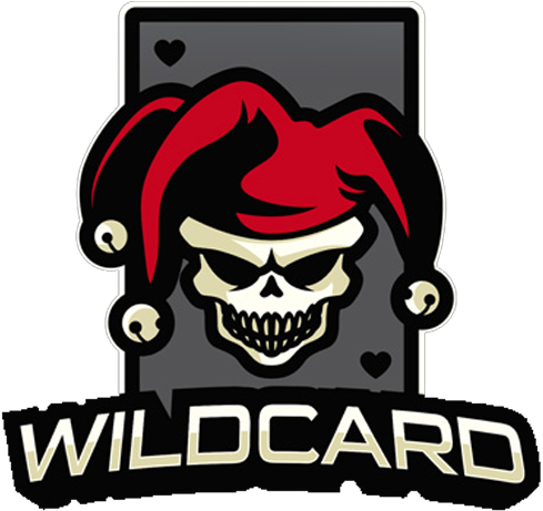 Wildcard Gaminglogo Square - Wildcard Gaming (500x500)